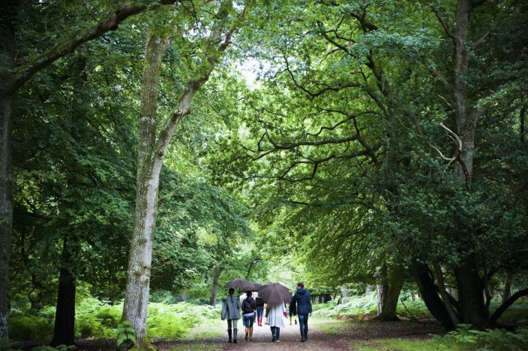 A group of people holding umbrellas, walking along a path through woodland and mature trees in leaf.