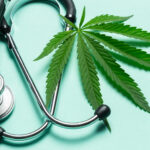 Cannabisblade-lægestetoskop