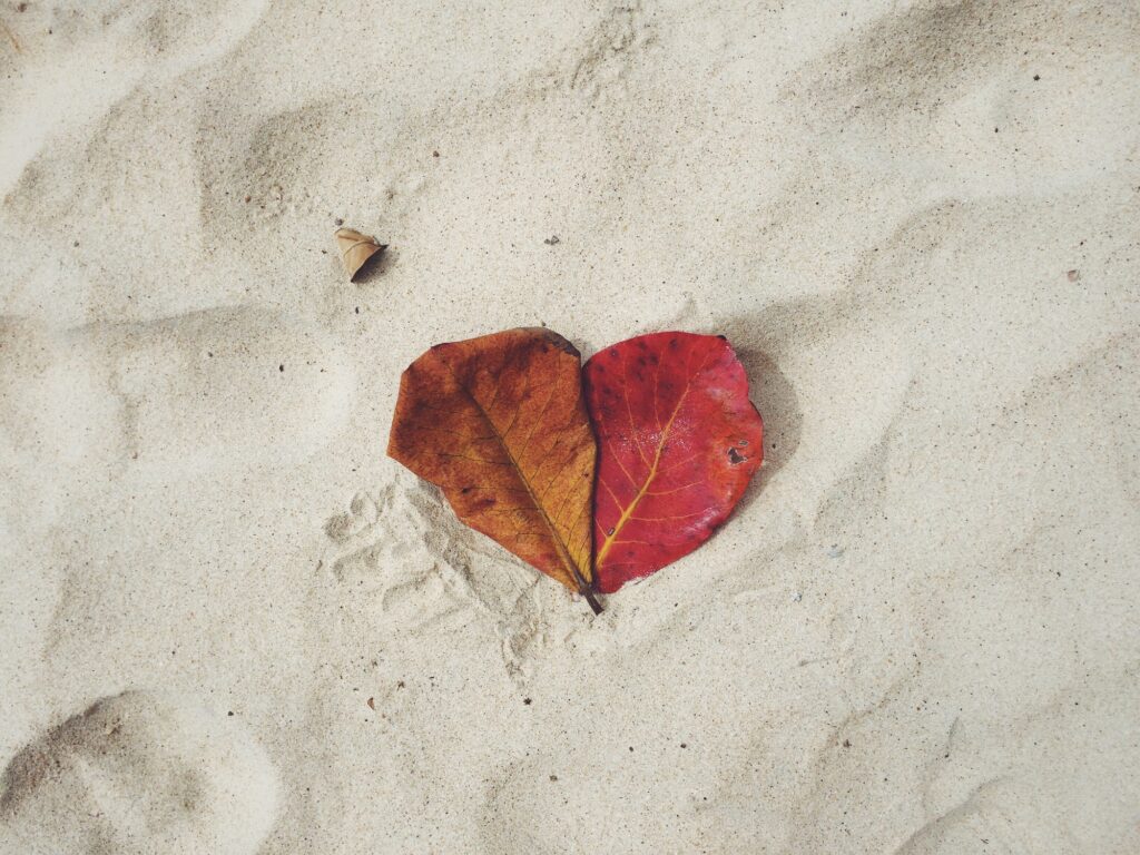 Leaf heart