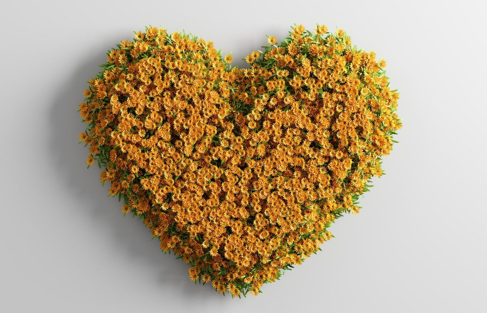 Spring summer flowers in heart shape. Love environment