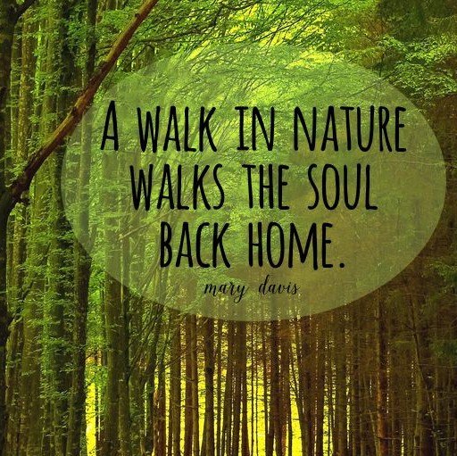 A walk in nature walks the sould back home - Mary Davis