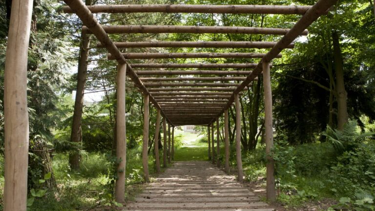 Terapihaven Nacadia er indrettet som en 'skovhave' med levende byggemateriale, der skal give dens gæster en følelse af at være en del af naturen. (Foto: Nacadia/Københavns Universitet)