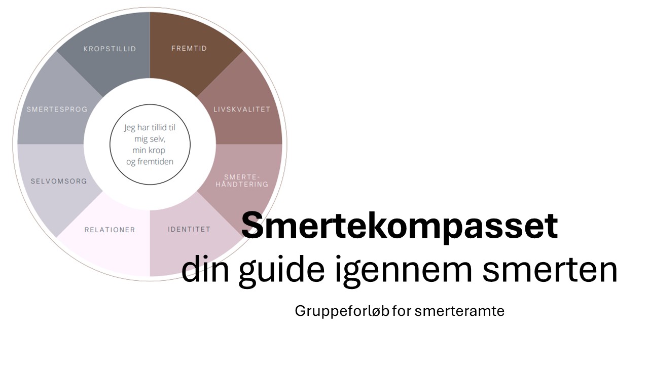 smertekompasset - gruppeforløb