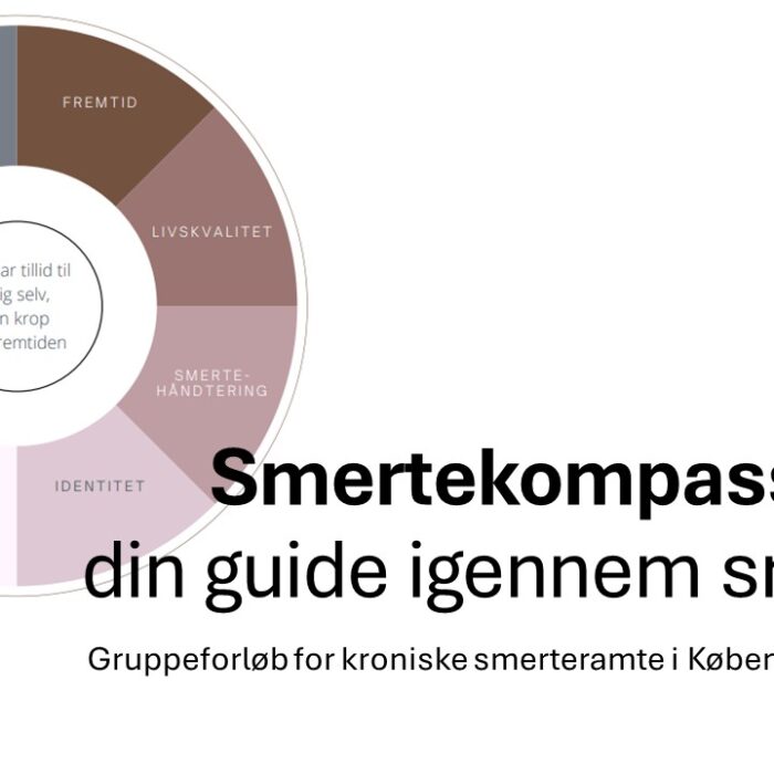 SMERTEKOMPASSET – din guide igennem smerten v./Mathilde Kehler (online forløb – efterår 2024) –