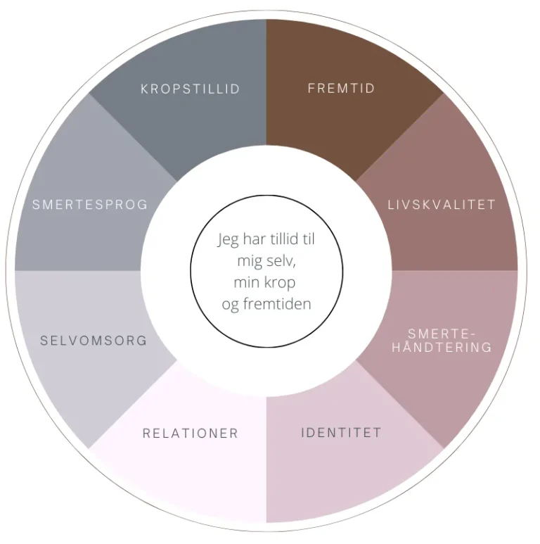 Grafik-Smertekompasset (1)