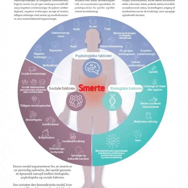 SIP infografik: Den biopsykosociale smertemodel – infografisk plakat