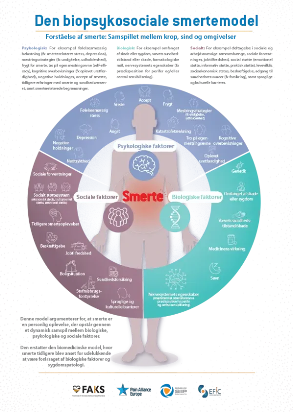 Infographic ’Den biopsykosociale smertemodel’ (plakat - Show & Tell A4)