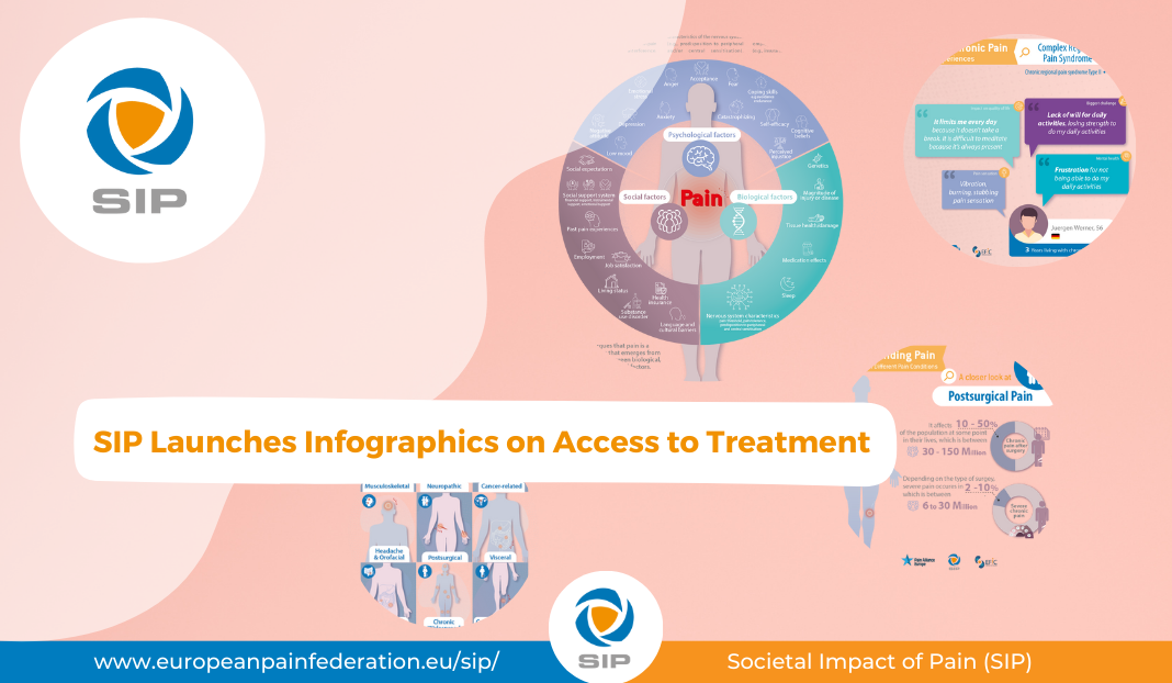 SIP-infographics-visual-overview