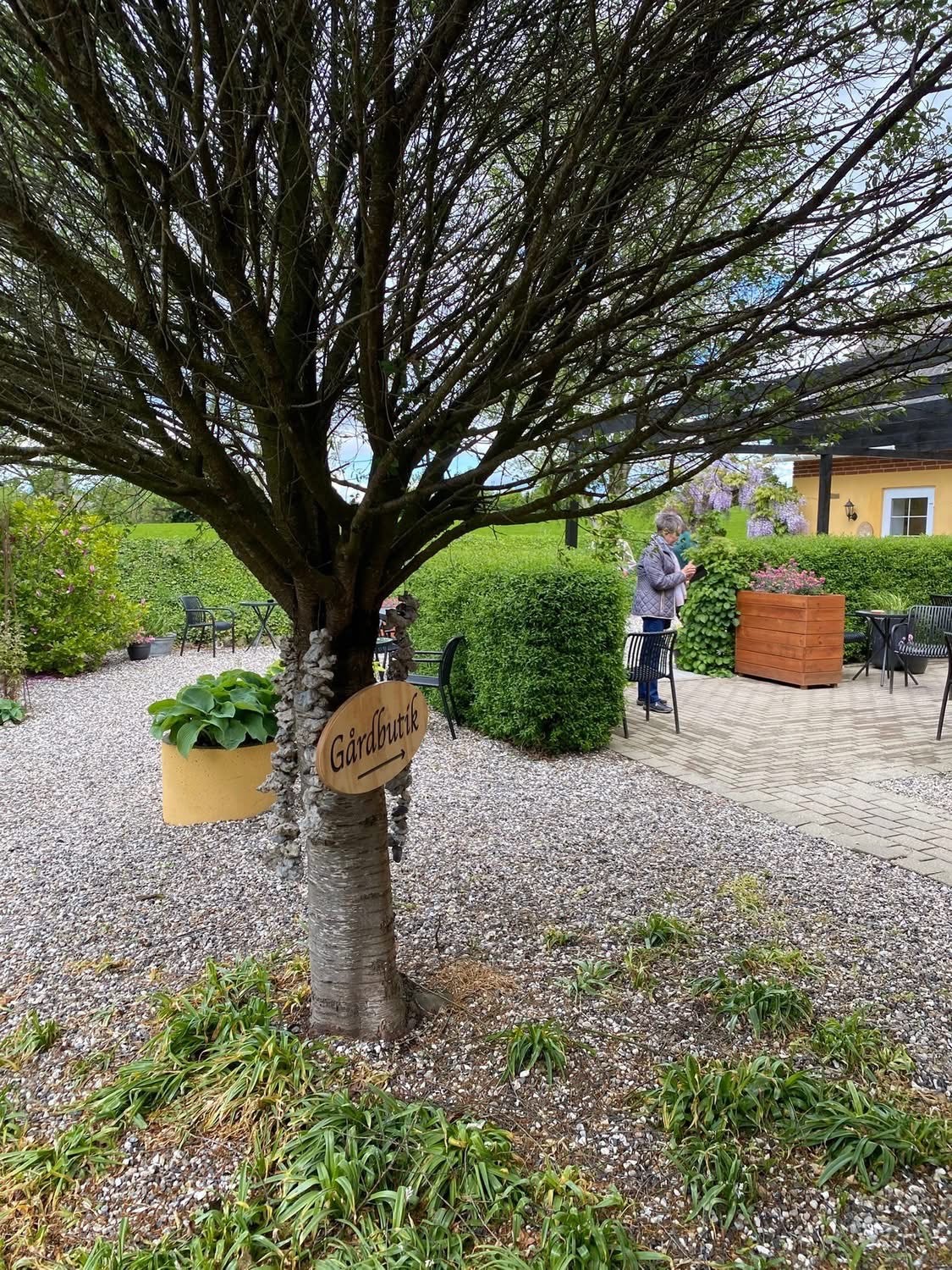 Billede 1 Lokalafdelingen i FAKS-Randers, var torsdag den 22. maj, på tapas udflugt til Greven Gemakker, nær ved Mariager