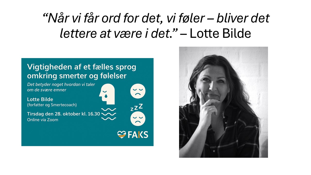 Webinar:. fælles sprog -grafik med billede af Lotte Bilde