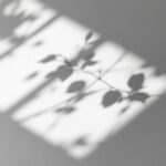 StockCake-Botanical_Shadow_Dance-3859123-small