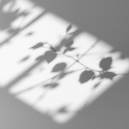 StockCake-Botanical_Shadow_Dance-3859123-small