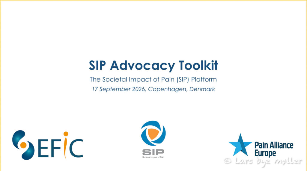 SIP Advocacy Toolkit event_©LarsByeMøller-01
