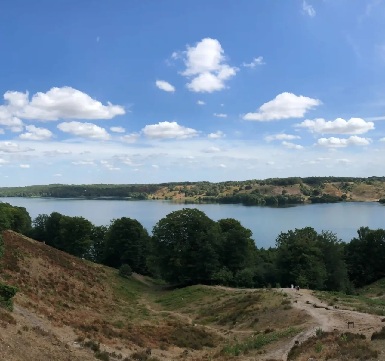 Viborg